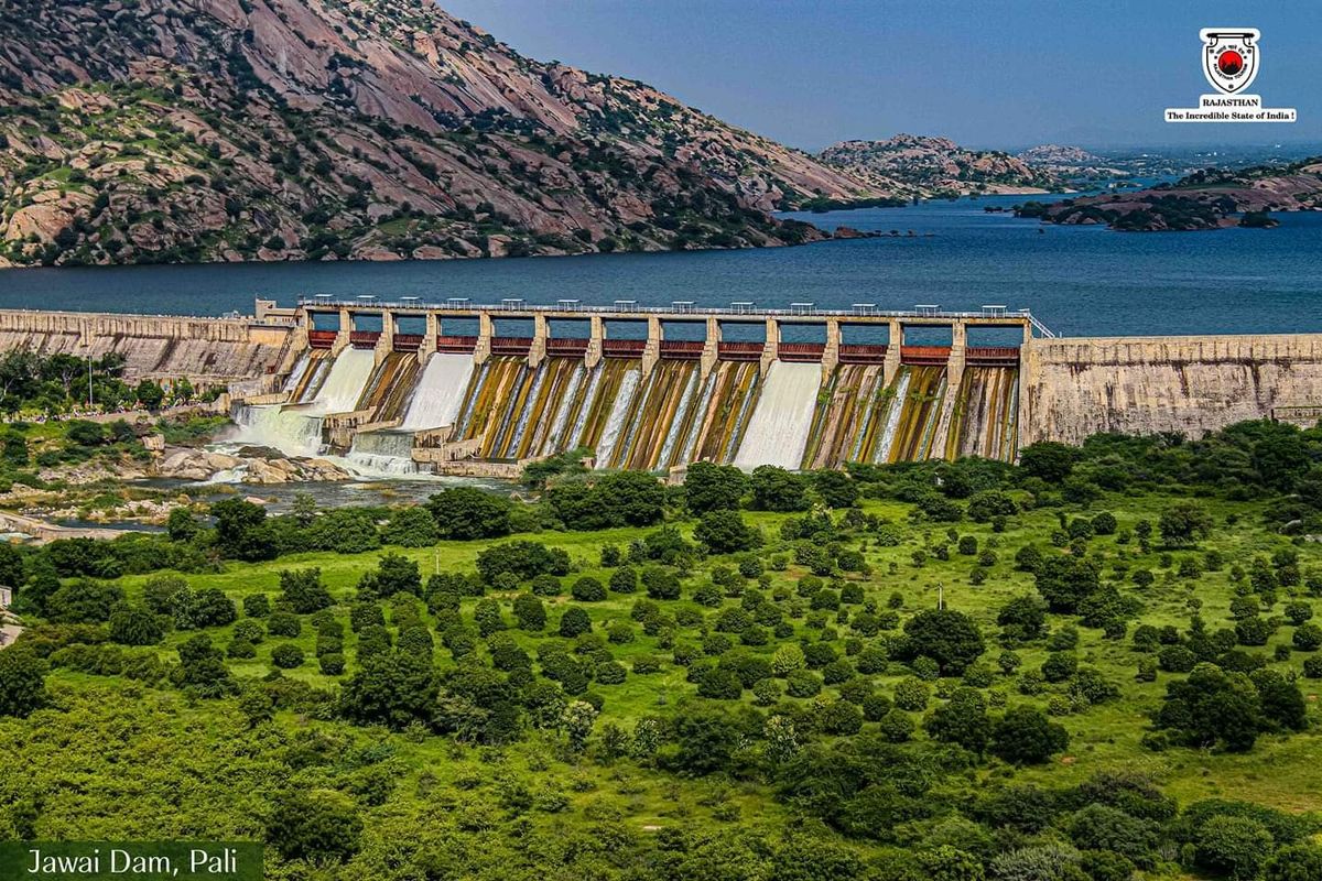 Jawai Nature